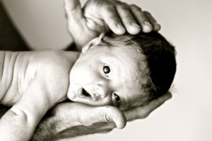 Banque d'images personnelle photographe, illustrations, d�coration, posters, photos d'art, publicit�