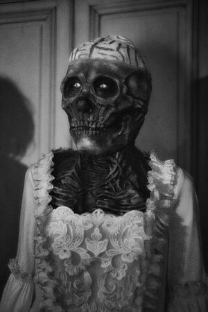 Banque d'images personnelle photographe, illustrations, d�coration, posters, photos d'art, publicit�